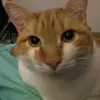 audreypowers516 - @audreypowers516 - TikTok
