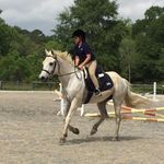 Audrey Rivers - @audrey_horses1216 - Instagram