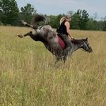 Audrey Robbins - @audballio - Instagram