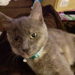 Audrey Robbins - @audrey.robbins.73 - Instagram