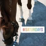 Audrey Rubinstein - @ahr_eventing - Instagram