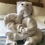 Audrey Ohman - @audreys_agoat - Instagram