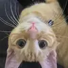 Audrey - @audrey.salazar2010 - TikTok