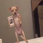 Audrey Salinas - @audrey_salinasspam - Instagram