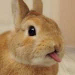 Audrey Salter - @salteraudrey - Instagram