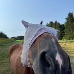 Audrey Sanborn - @audreysanborn - Instagram
