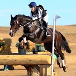 Audrey Sanborn - @as__eventing - Instagram