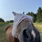 Audrey Sanborn - Facebook