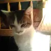 Audrey Sanchez - @audreysanchez51 - TikTok