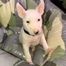 audrey sanchez - @audreysanchez49 - TikTok
