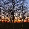 AudreySanders - @uheanqfutn2 - TikTok