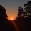 Audrey Saunders - @audrey.saunders00 - TikTok