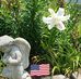 Audrey Savage - Facebook