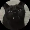 not here - @audreysawyer_ - TikTok