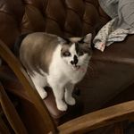 Audrey Schaefer - @as84062 - Instagram