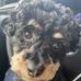 Audrey Schaeffer - Facebook