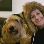 Days of dogs - @audrey_scheerder - Instagram