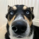 Audrey Scherer - @asheepscherer - Instagram