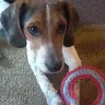 Audrey Schmidt - @audrey8263 - TikTok