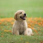 Audrey Schoenfeld - Facebook