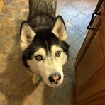 Audrey Schoenfeld - Facebook