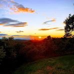 Audrey Schoenfeld - Facebook