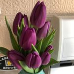 Audrey Schuster Vandenburgh - @schustervandenburgh - Instagram