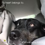 Audrey Schweitzer - Facebook