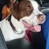 Audrey Schweitzer - @audrey.schweitzer7 - TikTok