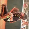 Audrey Scott - @aaaudrey_14 - TikTok