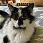 Audrey Scully - @awesome_auds - Instagram