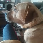 audrey sebring - @audreyellasebring - Instagram