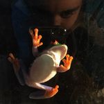 Audrey Sechler - @animals_sechler - Instagram