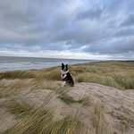 Liam Seghers - @audreyseghers - Instagram