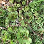 Audrey Seitz, MPH, CPH - @prof.seitz - Instagram