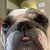 audrey - @audreyhaselbyy - TikTok