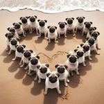 Audrey Selby - @dutchgirl1964 - Instagram