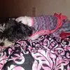 Audrey Serna - @audrey.serna0 - TikTok