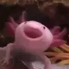 audrey - @audrey.sese - TikTok