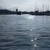 Audrey Seyer - @audreyseyer - TikTok