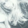 Audrey simard  - @audrey_simard - TikTok