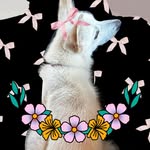 Audrey Spann - @ezra_sinki.pinki - Instagram