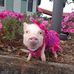 Audrey Stephenson - Facebook