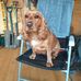 Audrey Stephenson - Facebook