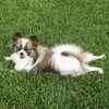 Audrey Teague635 - @audreyteague635 - TikTok