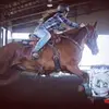 audrey_thorne19 - @audrey_thorne19 - TikTok