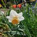 Audrey Allman - Facebook