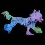 Audrey Wolf Art - @audreywolfart - Instagram