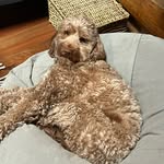 Audrey Cozad - @audrey_wren_ - Instagram