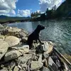 August Collins - @august.collins4 - TikTok